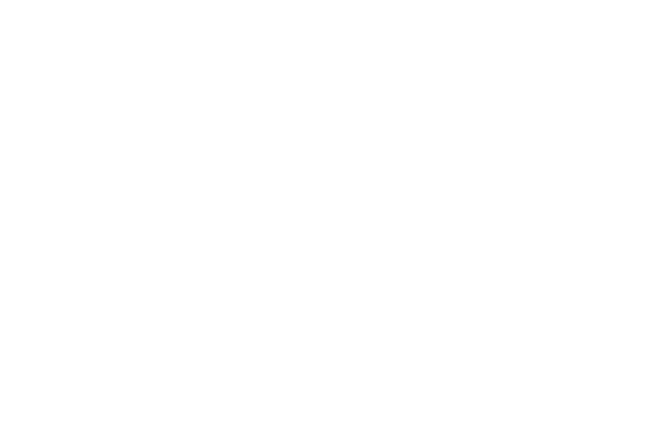 logo Efficience Consulting