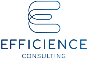 Efficience Consulting logo site