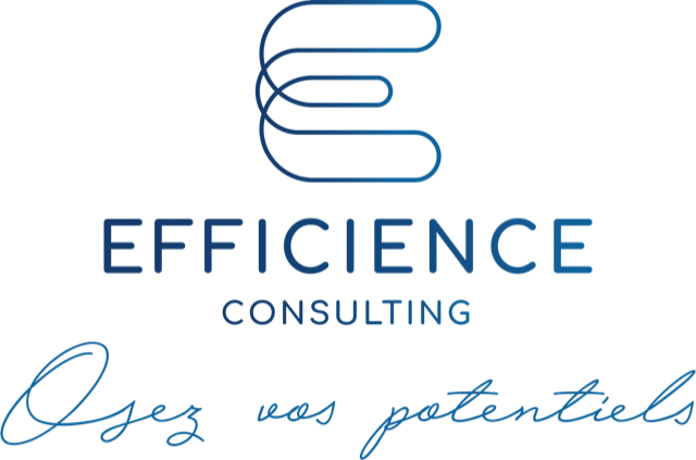 LOGO Efficience Consulting Osez vos potentiels vertical