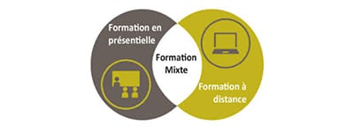Efficience consulting logo presentiel distanciel