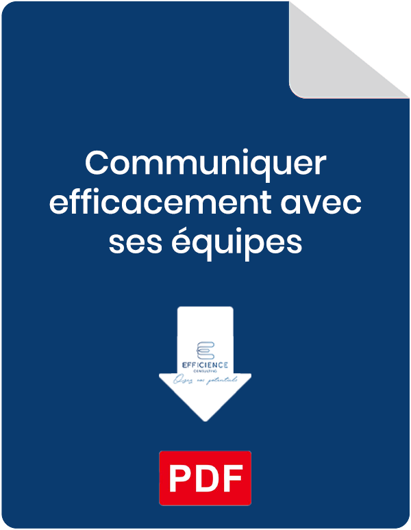 Icône document pdf de la formation Communiquer efficacement avec ses équipes