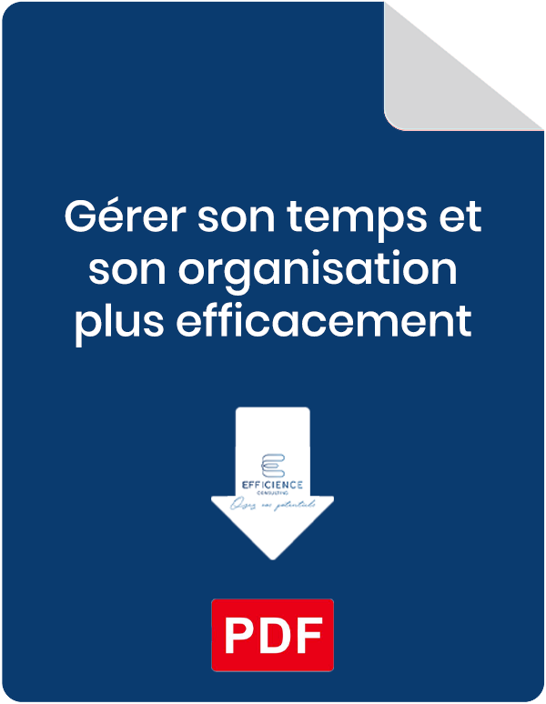 Icône document pdf de la formation gérer son temps et organisation plus efficacement