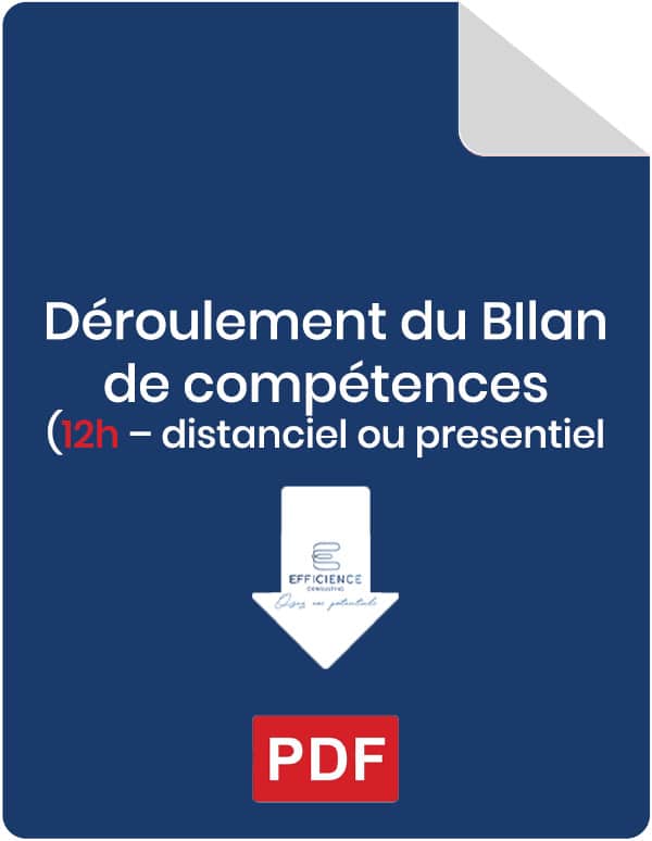 Efficience Consulting - Image type icone pdf avec texte : Déroulement du Bilan de compétences 12h