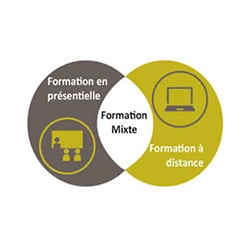 Efficience consulting logo presentiel distanciel